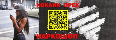 МДПВ Кингисепп