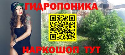 МДПВ Кингисепп