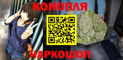МДПВ Кингисепп